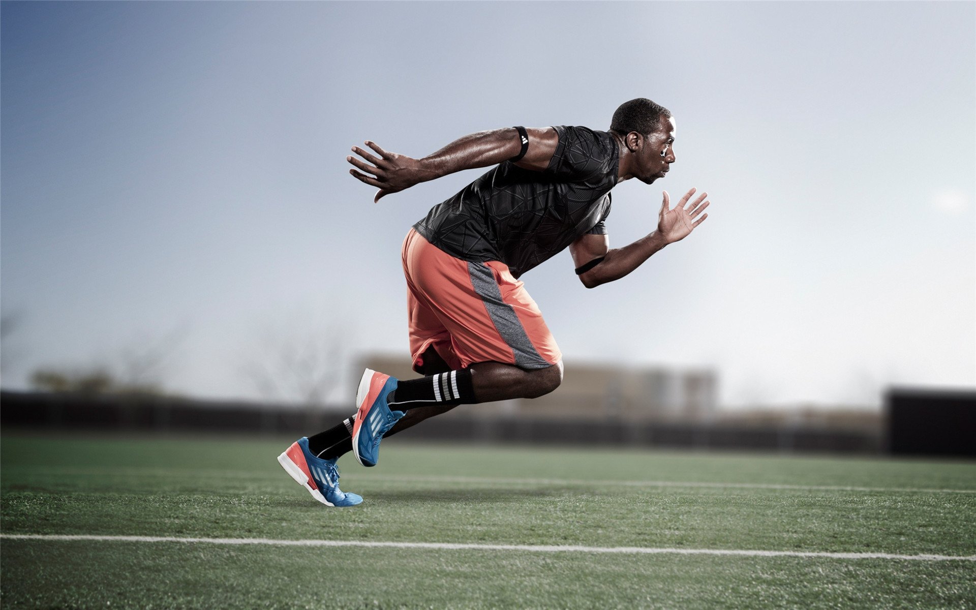 篮球赛事观众互动体验创新升级，篮球比赛观众席视角